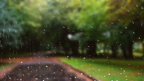 wet road in the autumn park during the rain. view from the window.