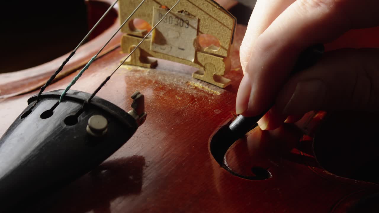 Musical instrument restorer inspects inside antique violin bodywork