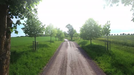 Volando-Entre-árboles-En-El-Sur-De-Suecia-Skåne,-Österlen-Verano,-Antena-Baja-Adelante-Lento