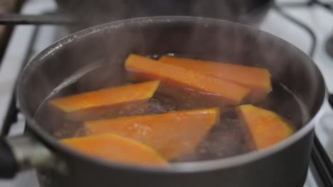 closeup pot cooking squash in boiling water