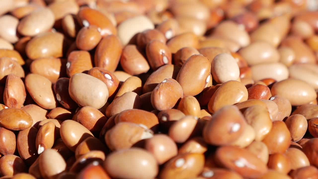 Close up of a pile of kidney beans