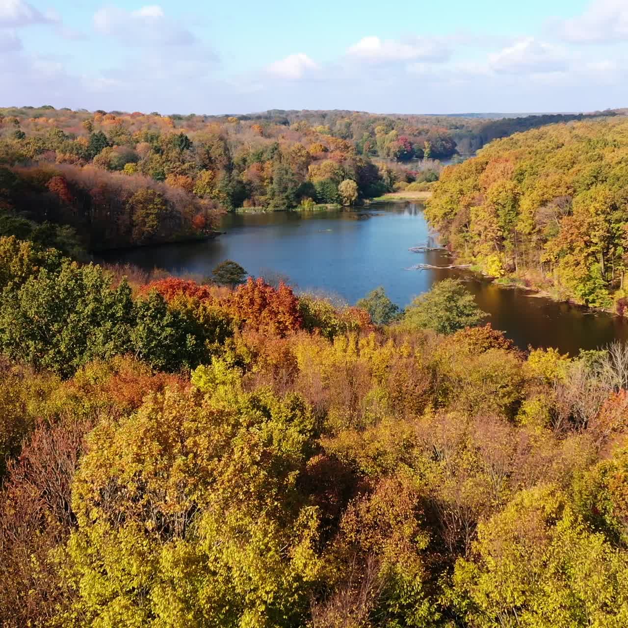 Amazing view over the woodlands on sunny day. Autumn season in thick woods. Beautiful sky reflecting in the river