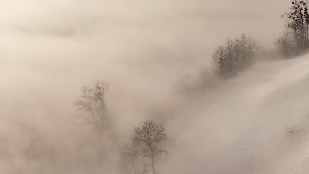 An ethereal winter landscape shrouded in mist. Trees emerge like ghostly silhouettes from the swirling fog, with mountains looming in the distance. Winter in Glarus, Switzerland.