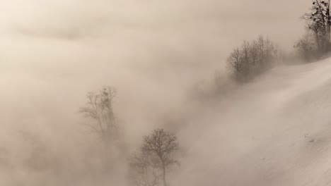 an ethereal winter landscape shrouded in mist. trees emerge like ghostly silhouettes from the swirling fog, with mountains looming in the distance. winter in glarus, switzerland.