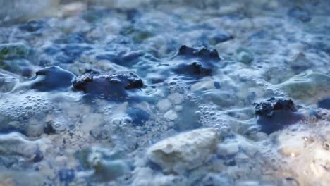 close up of shells under the waves slow motion