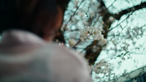 woman taking photo of cherry blossoms