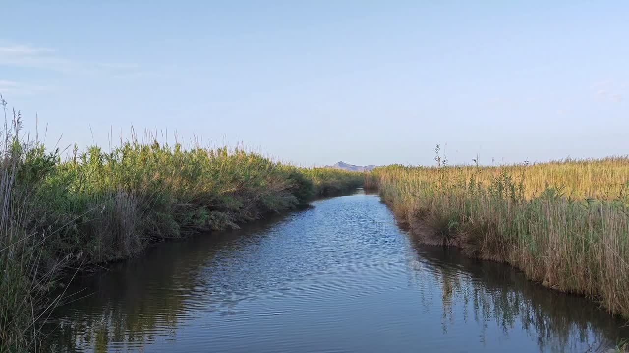 S'Albufera de Mallorca is the largest and most important wetland area on the island