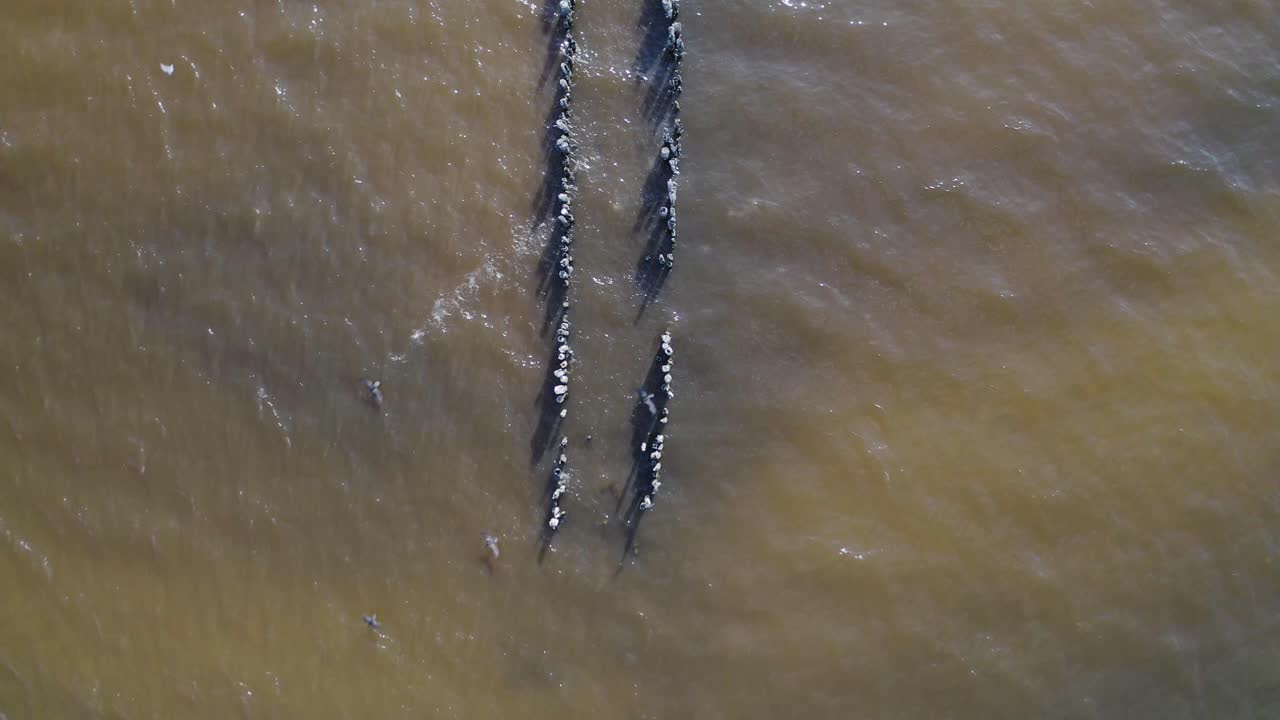 pájaros vuelan lejos de un viejo muelle de madera en el mar