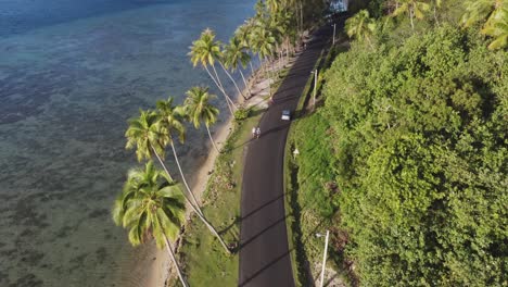 tourists and palm trees along sunny coastal bay road on bora bora isle