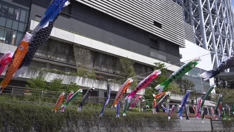 Hermosa-Decoración-De-Peces-Koi-Junto-A-La-Torre-Skytree-De-Tokio,-Japón