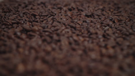 cerca de semillas de café