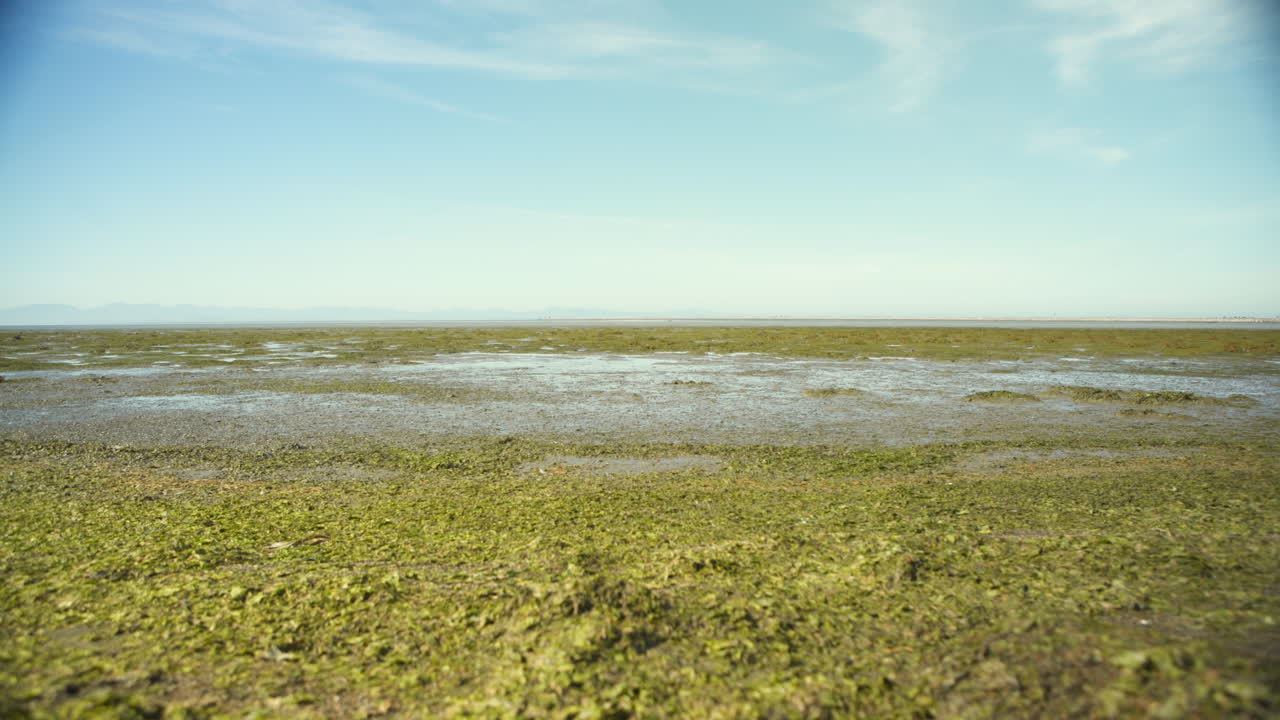 Barren Iona Beach During Low Tide