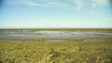 barren iona beach during low tide
