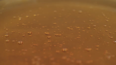 loopable close up shot of honey dripping onto a surface filled with more honey