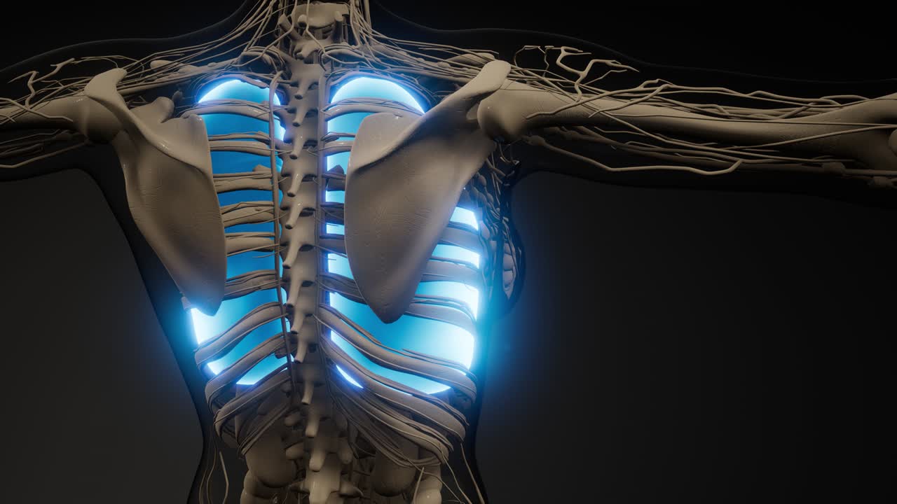 인간의 폐 방사선 검사