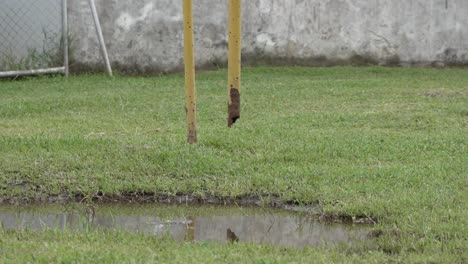 Broken-Rusty-Soccer-Goal-in-Park