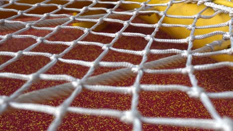 climbing net in the park. game equipment for children. tilt shot from bottom to top.