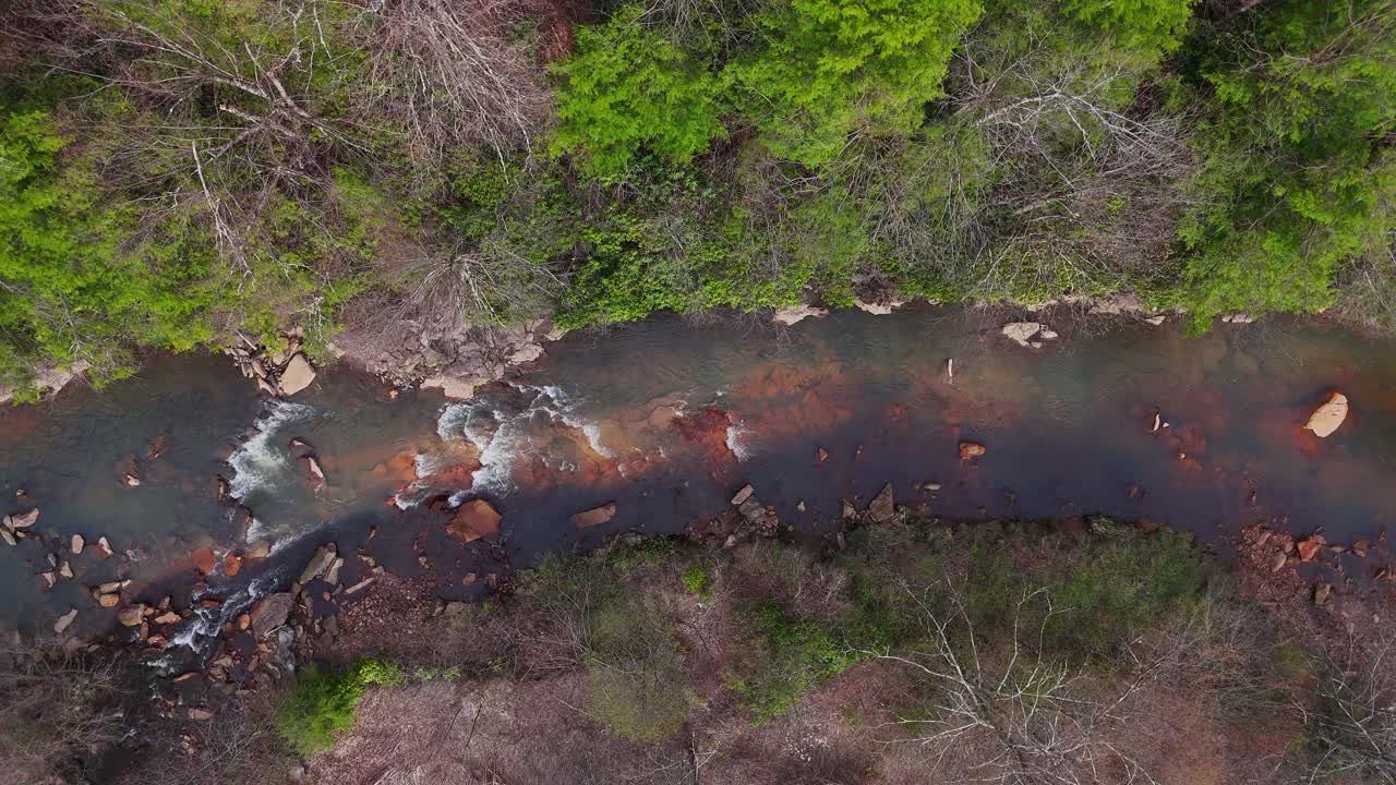 Top-down aerial of North Fork Blackwater River winding through early spring forest in WV, USA