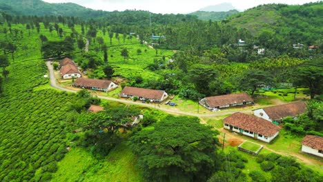 aerial drone footage of barns set amidst vast, lush green agricultural landscape in india, capturing the rich fields and the serene rural beauty of the region