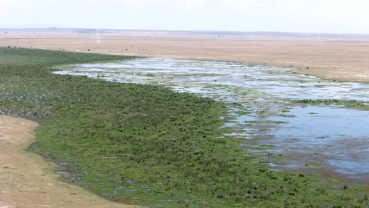 zoom en la toma del lago leakey desde la colina de observación en amboseli