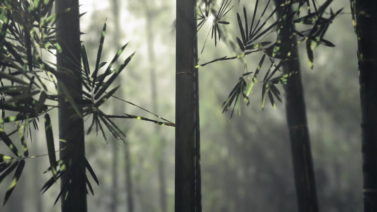 Ambiente boschivo rilassante con luce soffusa e un'atmosfera calma