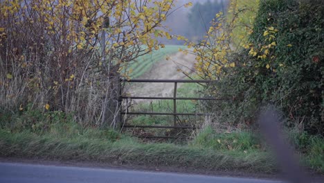 gate on the edge of a field