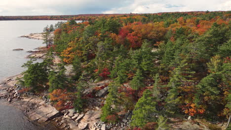 Un-Dron-En-Movimiento-Lento-Disparó-Un-Bosque-Y-Un-Lago-En-órbita-En-La-Naturaleza-Canadiense