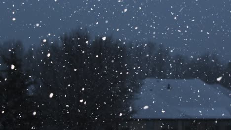 slow-motion flurry of snowfall before nightfall with trees and a house in the background