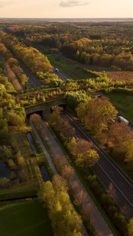 Highway Overpass through Forest Landscape