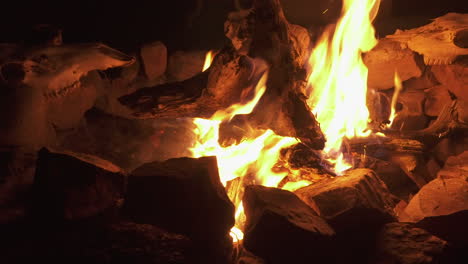 logs burning in fire with animal skulls in the background, slider shot