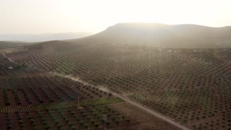 orchard in mountains at sunrise