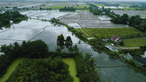 Toma-De-Drones-De-Campos-De-Arroz-En-Zona-Tropical