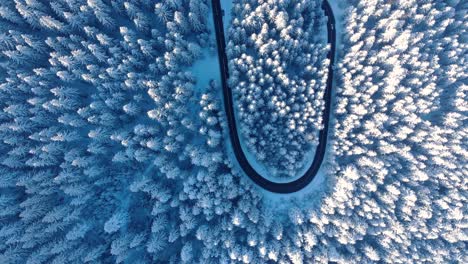 Vista-De-Arriba-Hacia-Abajo-De-La-Carretera-De-Montaña-Y-El-Bosque-De-Coníferas-Cubierto-De-Nieve-Durante-El-Invierno---Toma-Aérea-De-Drones