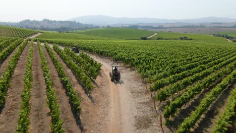 dolly in aerial view of a transporter tractor driving through the middle of two grape vines in a vineyard