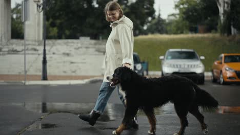 happy blonde woman in a white jacket walks and walks with her big black dog after the rain in the park