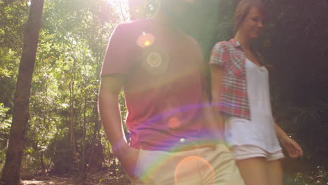 Low-angle-view,-couple-walking-past-camera-through-forest