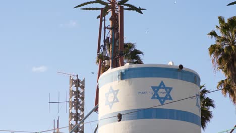 a group of birds flying together in the occupied west bank of palestine in hebron