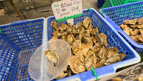 fresh oysters showcased in blue baskets