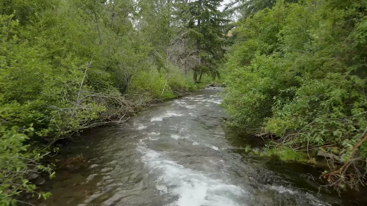 Droneoptagelse der følger en flod i Oregons bagland