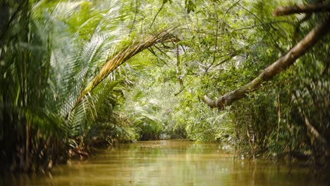 Blick-Von-Einem-Boot-Auf-Einen-Fluss-Im-Thailändischen-Dschungel