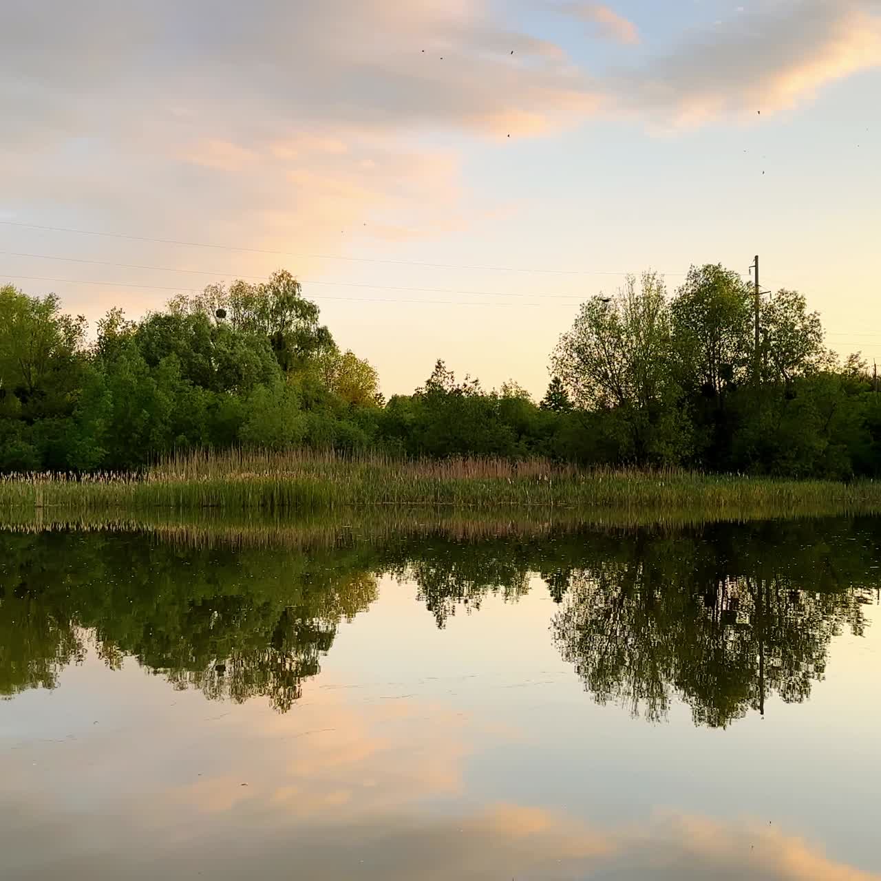 Summer daytime on the peaceful river. Greenery reflecting in the calm river water. Sunset at the river bank