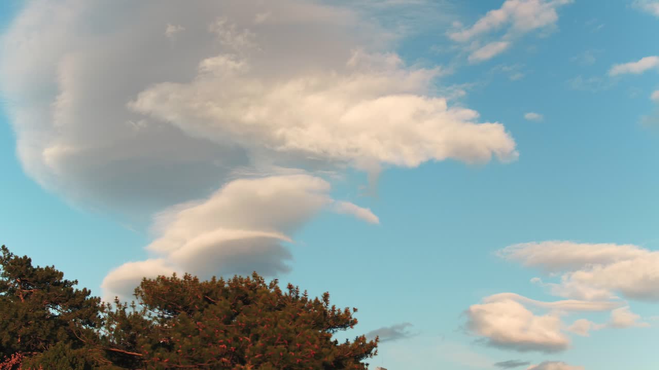 구름과 나무가 있는 아름다운 하늘