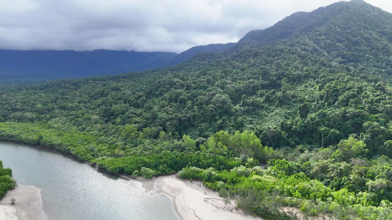 Drone pans above lush rainforest river, mangroves, and mountains under bright, diffuse daylight