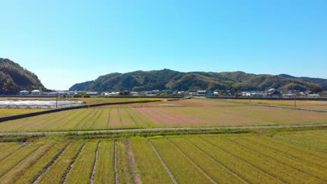 flying over farmland and a small village with greenhouses in japanese countryside