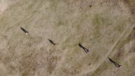 equipo de búsqueda y rescate repartidos en diferentes direcciones explorando el territorio en busca de personas perdidas
