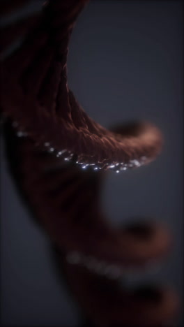 3d render of a dna double helix