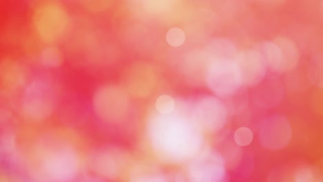 abstract autumn background bokeh video
