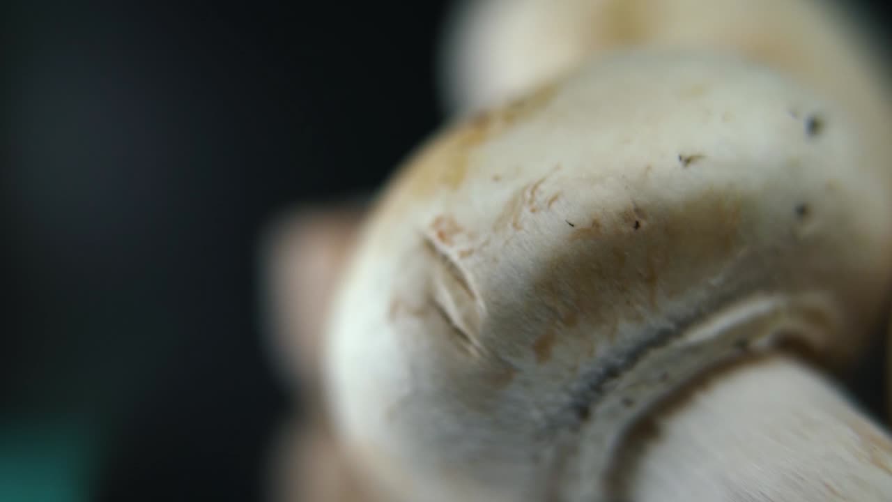 video macro nítido de una pila de setas, champignones crudos detallados, tapas blancas, en un soporte giratorio, movimiento suave, cámara lenta 120 fps