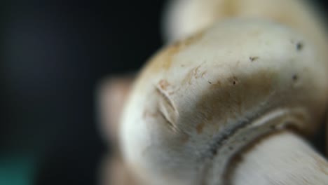 macro crisp video of a pile of mushrooms, detailed raw champignons, white caps, on a rotating stand, smooth movement, slow motion 120fps