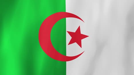 realistic algeria flag waving in the wind. 4k animation.